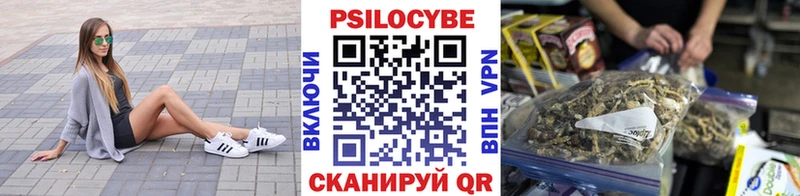 Галлюциногенные грибы Psilocybine cubensis  Уварово 
